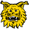 FC Ilves logo